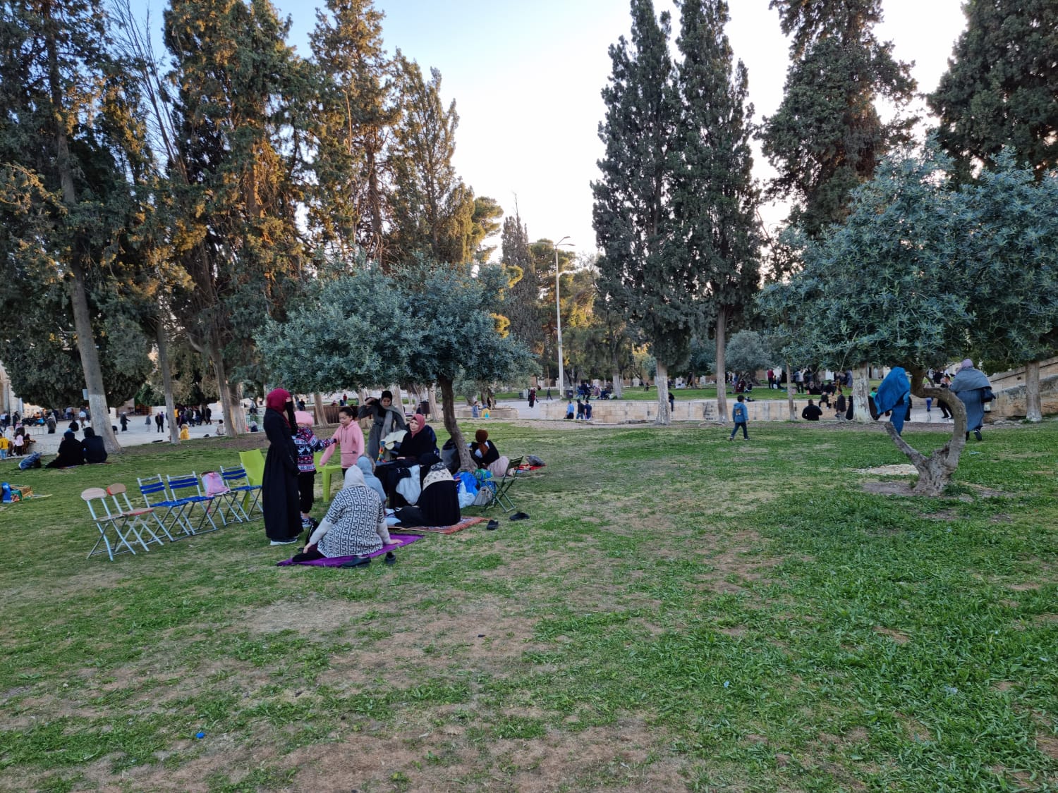 WhatsApp Image 2022-04-11 at 6.49.55 PM.jpeg